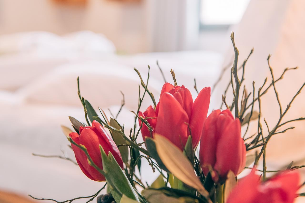 Bio Hotel Kunstquartier Отель